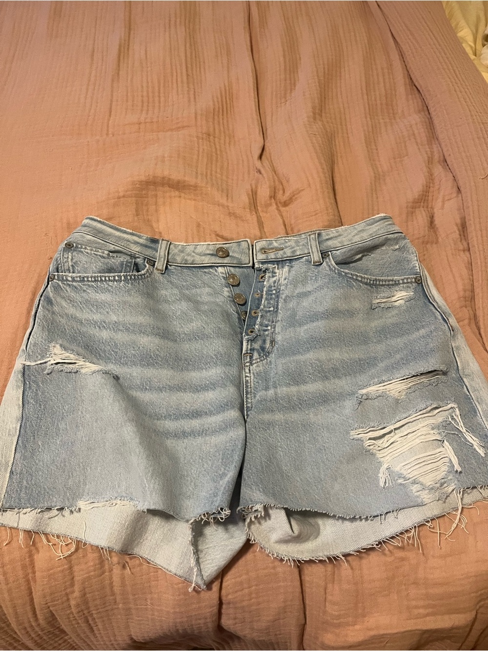 American Eagle Outfitters Light Wash Distressed Button-Fly Denim Shorts